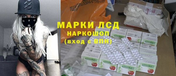 стафф Новодвинск